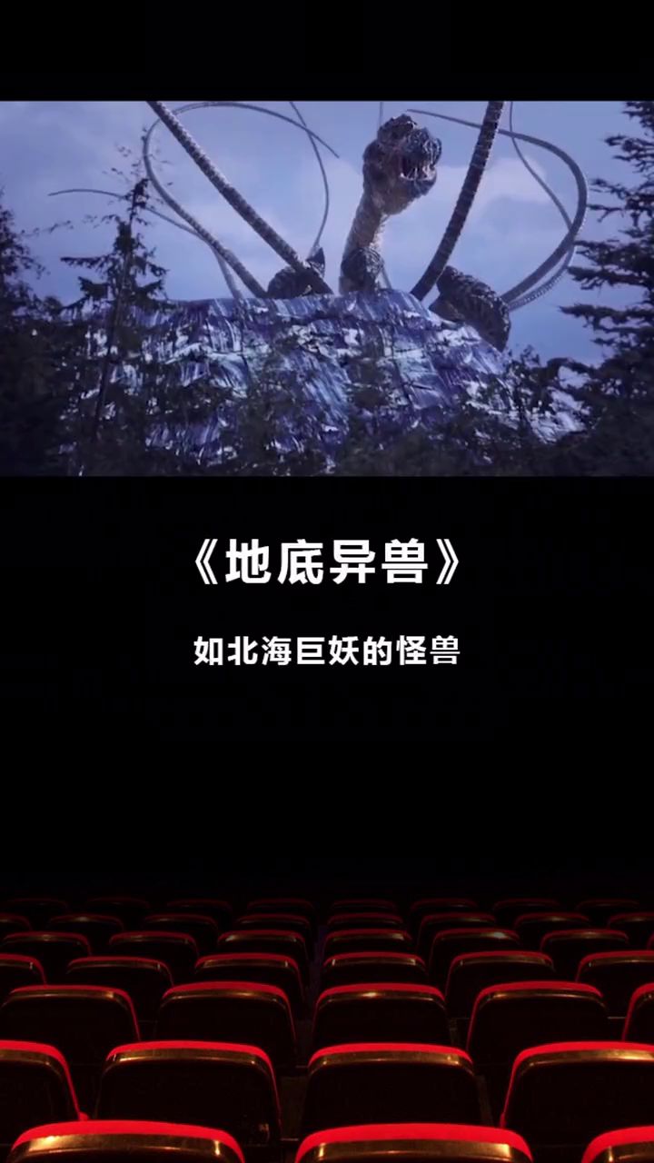 最新电影0855，视觉盛宴的深度探讨