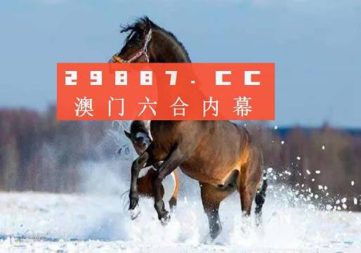 2023新澳门天天开好彩,实地研究解答协助_媒体版95.693
