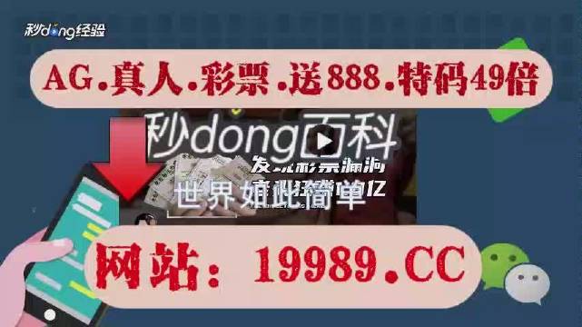 2024澳门天天开好彩大全正版,专家意见法案_体验版95.698