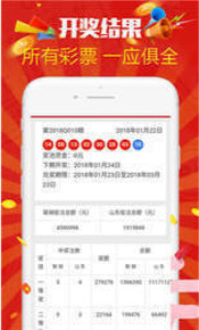 二四六天天免费资料结果,数据指导策略规划_味道版95.530
