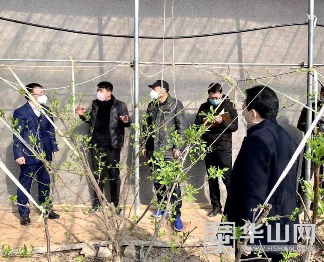 安仁最新疫情全面解析，你需要知道的一切！