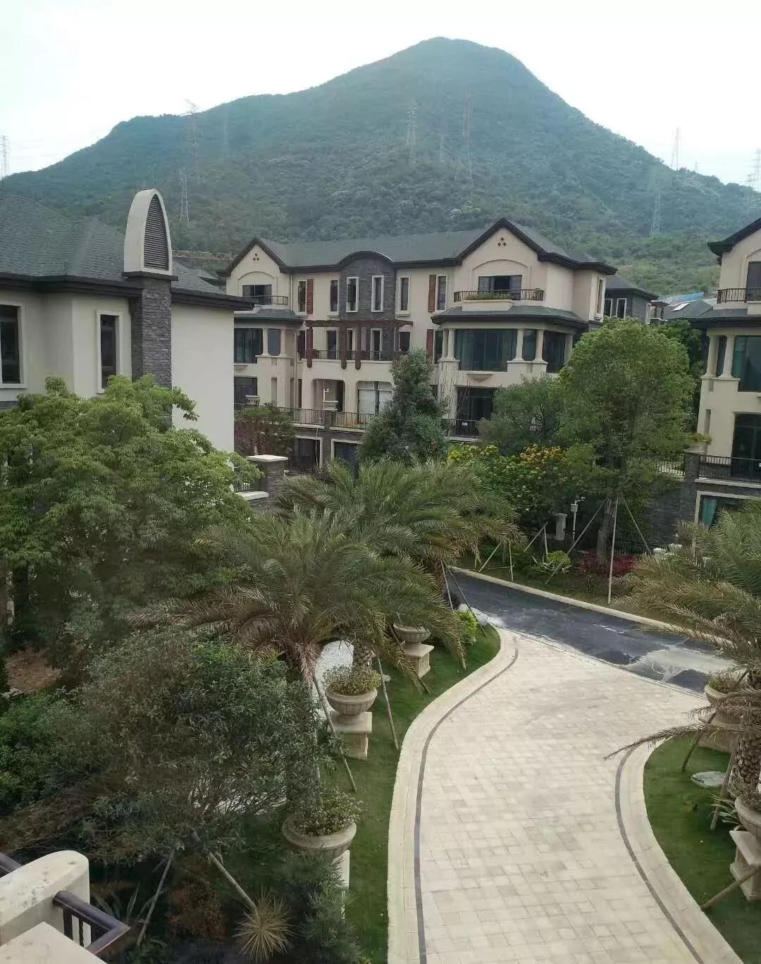 人防书籍最新详解，步骤指南与实用指南