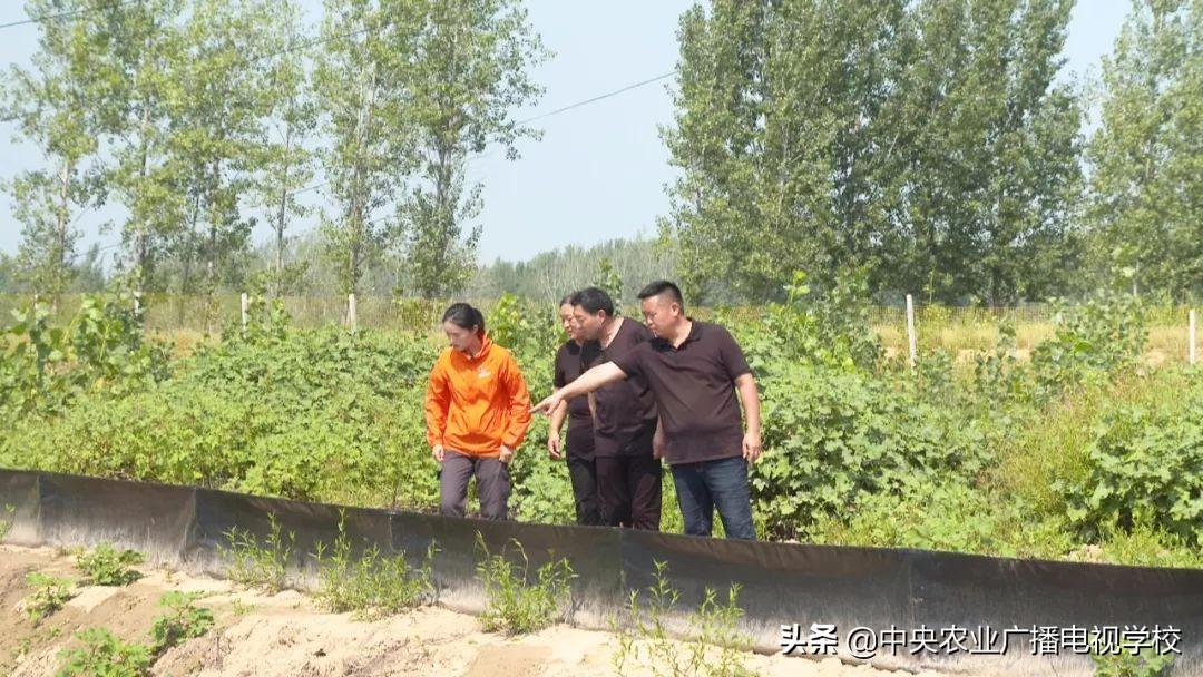 互联网信息服务 第309页