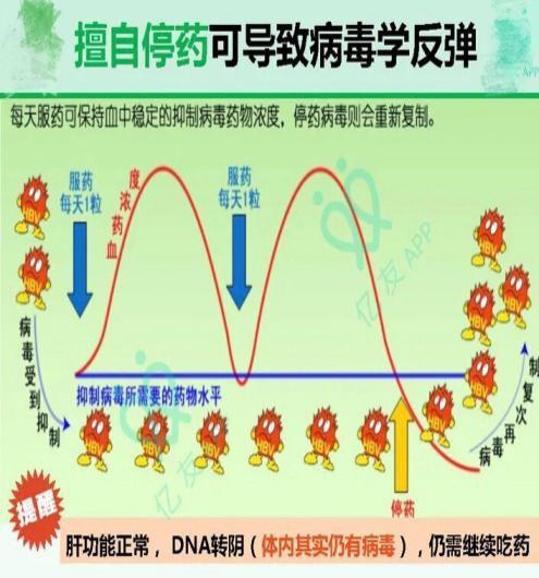 环状病毒最新动态揭秘，你准备好了吗？🔬