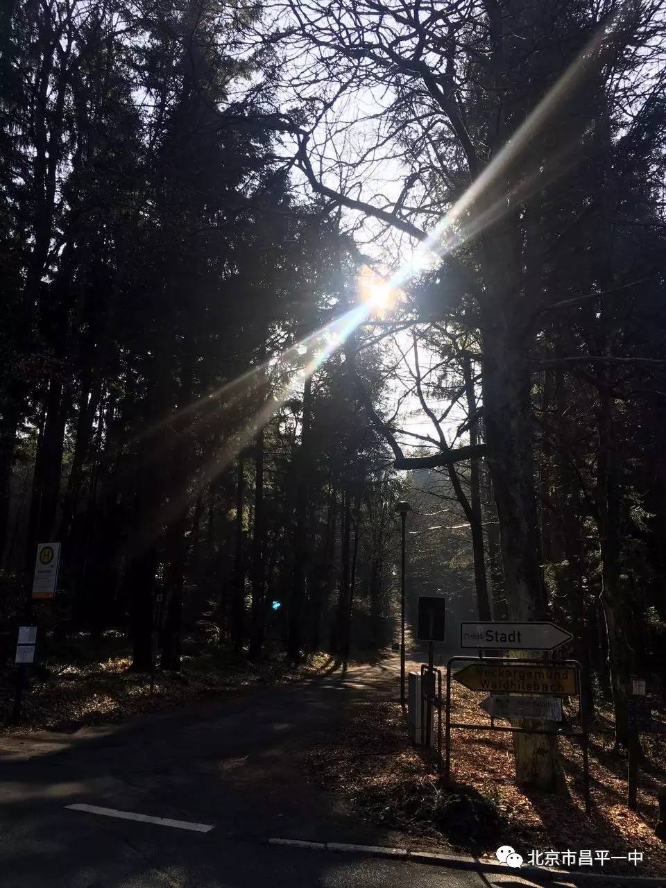 中坚科技，小巷中的隐藏宝藏，独特探索之旅揭秘