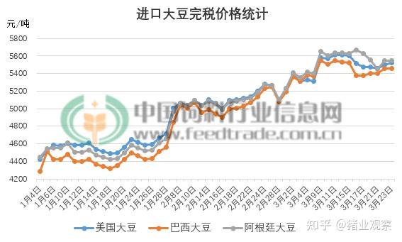 最新豆粕，驱动力量，引领自信与成就之路