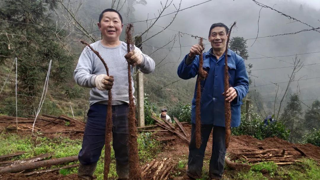 雅安雨城最新招聘信息汇总