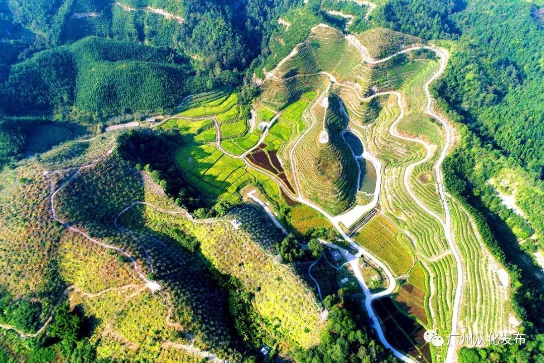 探寻内心宁静之旅