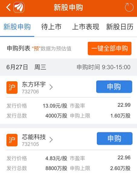 最新新股中签号公布，开启自然美景探索之旅，希望与好奇并行