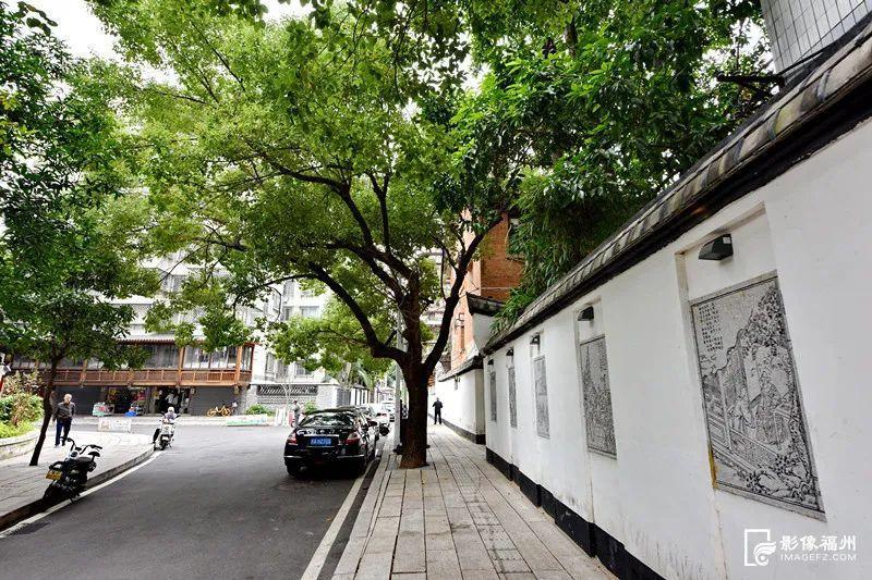 青岛人才落户最新政策揭秘，小巷深处的机遇与未来息息相关
