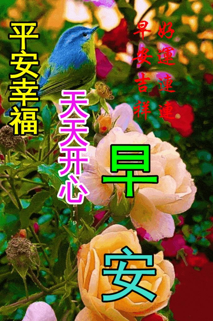 最新早上好动态表情，温馨开启每一天🌞💫