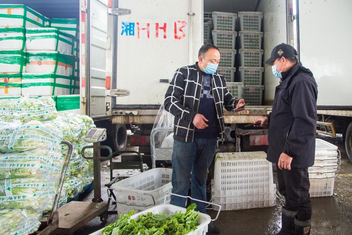 长沙市疫情最新消息多维视角分析，今日多维度观点解读