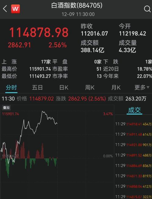 金种子酒股票最新动态，市场分析与展望