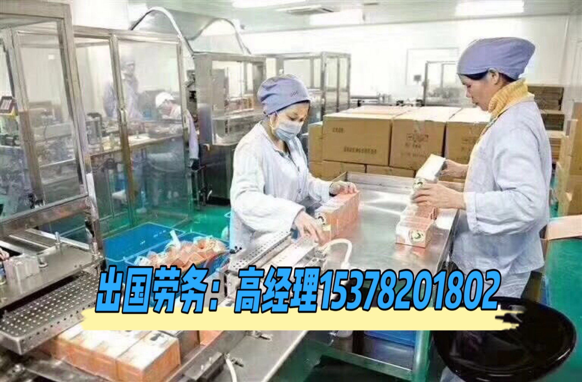 顺德杏坛最新普工招聘，详细步骤指南与招聘信息解析