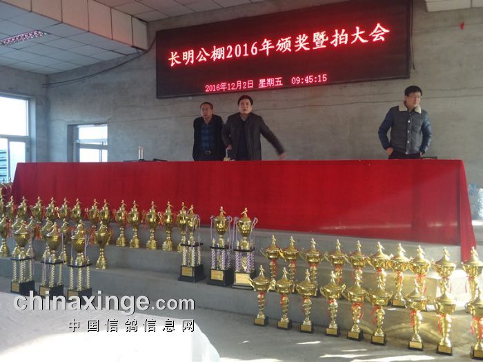 长明公棚最新公告发布！✨