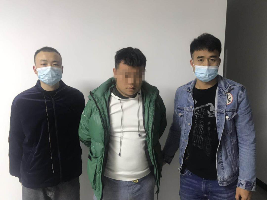最新破获电信诈骗案揭秘，深度分析与观点阐述