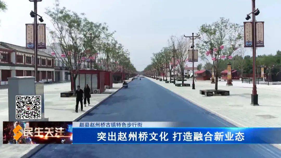 赵州派最新动态，传承与创新融合展现独特魅力