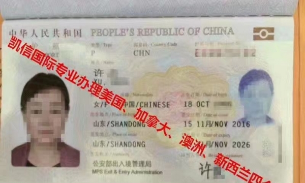 加拿大探亲签证办理指南，最新流程与温情趣事分享