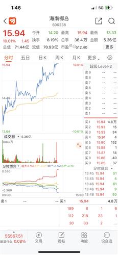 海南椰岛股票最新动态与小巷深处的惊喜发现