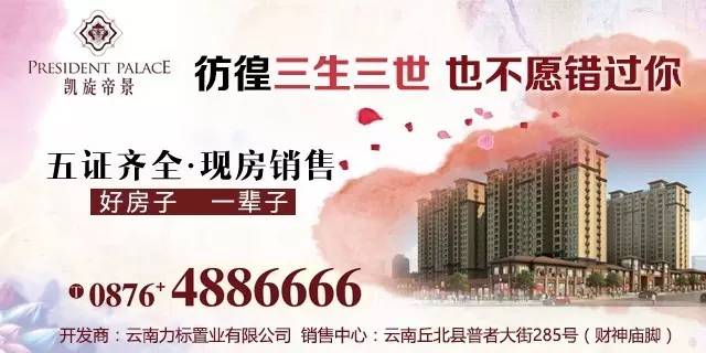 丘北招聘网最新招聘信息，时代脉搏与人才舞台的交汇点