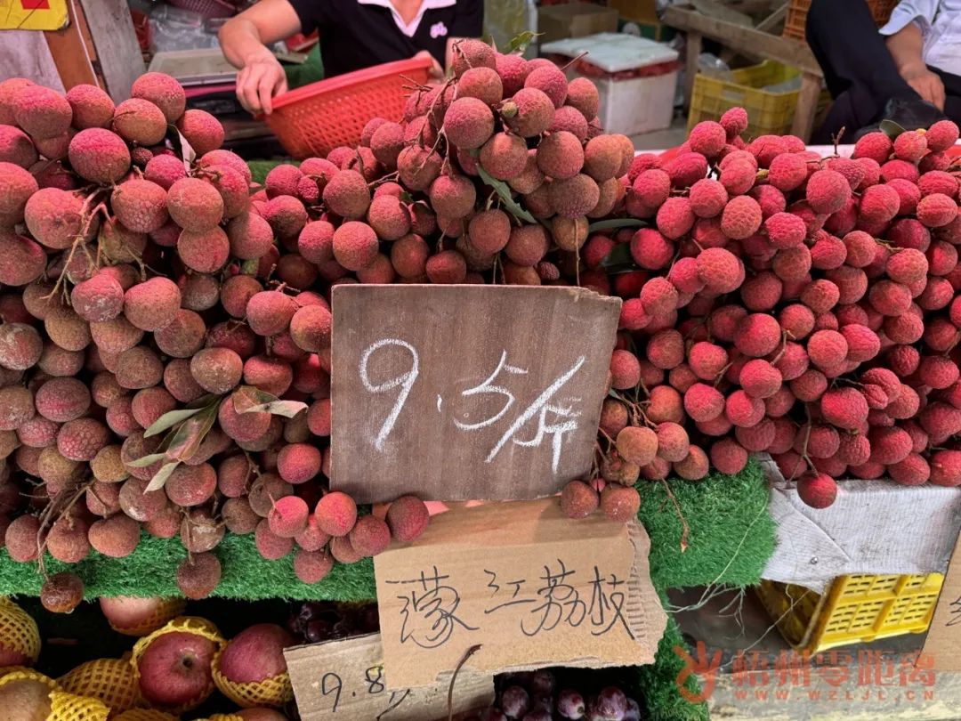 最新桂味荔枝价格行情揭秘，价格走势一网打尽！