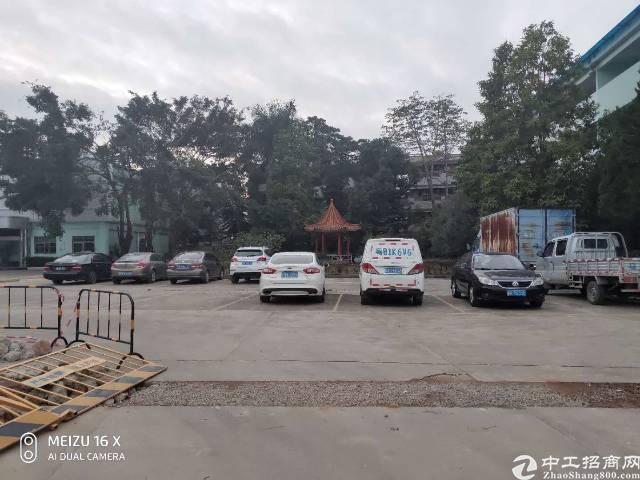 学习之旅与自信培养