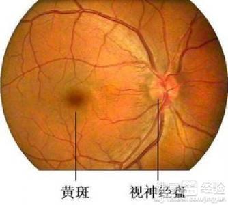 互联网服务 第266页