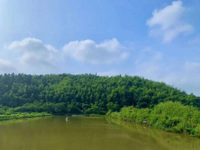 文创港最新动态，自然美景的治愈之旅探索