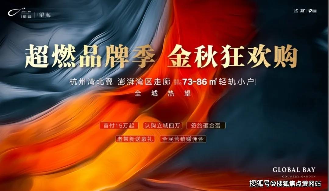 深度解析与观点分享