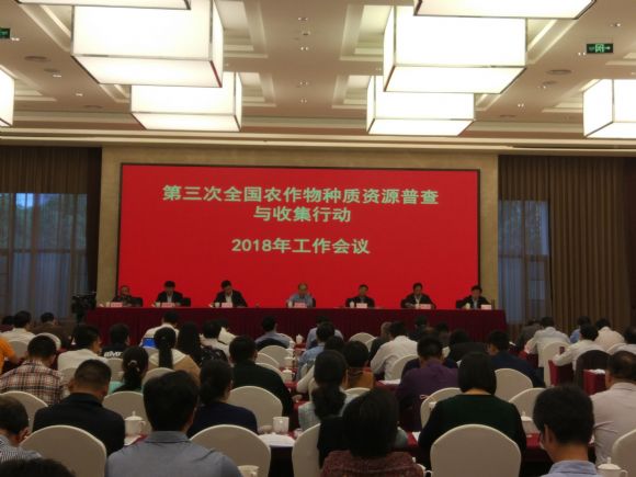 施甸最新干部引领科技潮流，体验未来生活新纪元