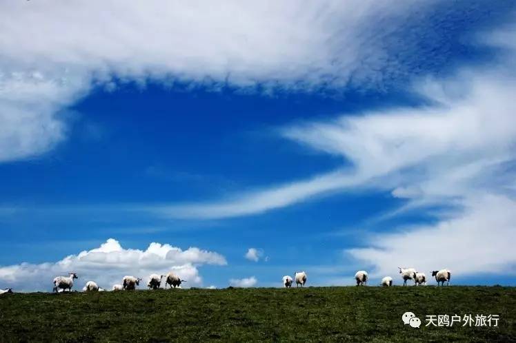青海自然美景探险之旅，寻找内心的平和与喜悦，警惕最新病毒威胁