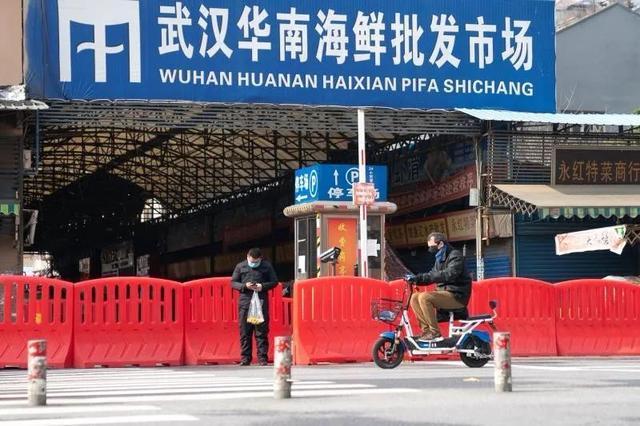最新疫情海鲜市场动态，全面审视与观点阐述