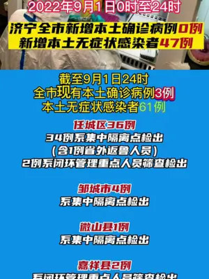 疫情最新情报获取指南，从初学者到进阶用户的全方位教程