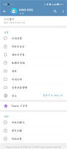 Telegram官方最新下载，探讨与解析观点