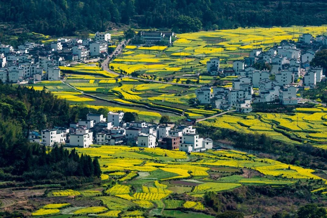 婺源最新任免，自然美景探索之旅启程