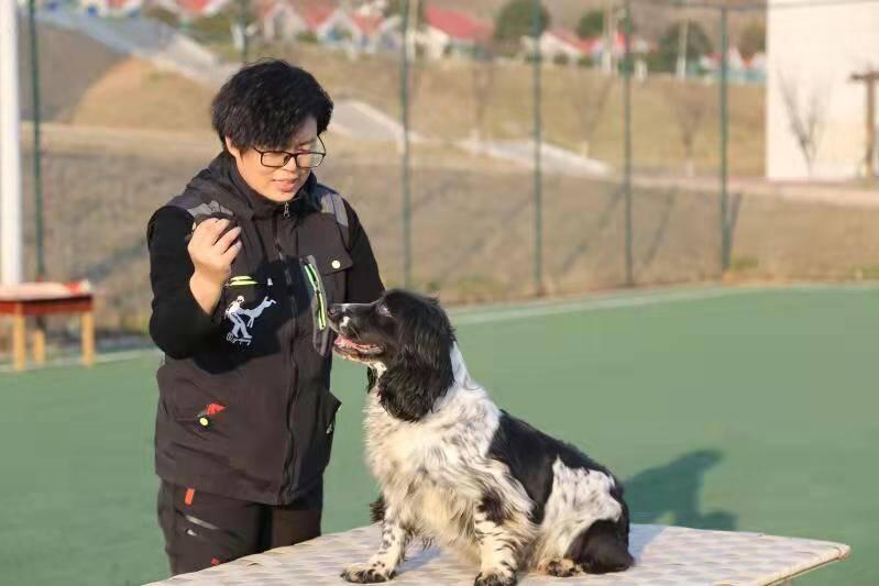 王者最新辅助装，变化中的学习之路，自信与成就感的源泉