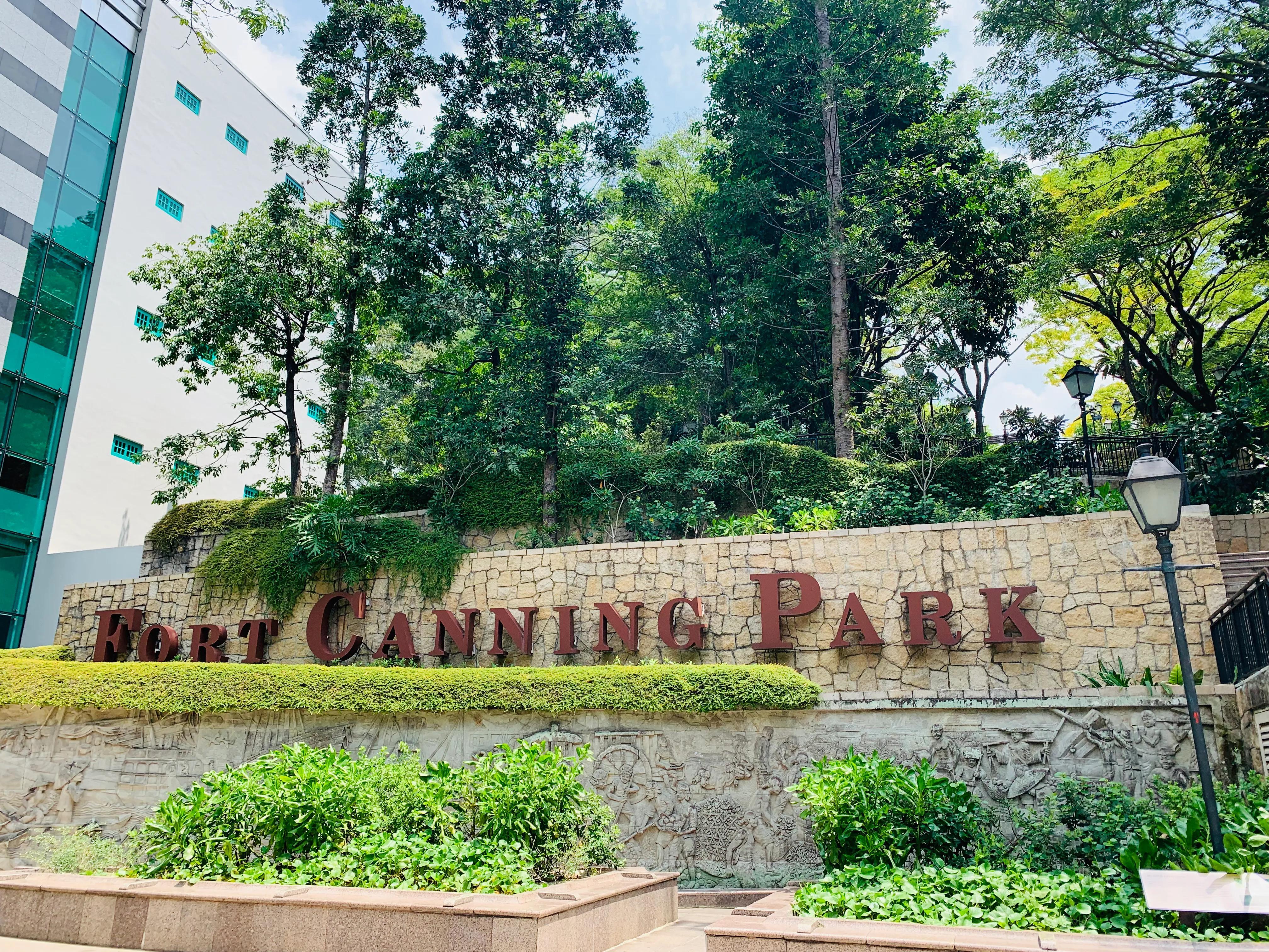 新加坡疫情最新通告，全面应对，守护家园安全