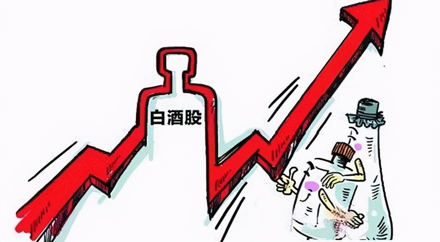 白酒基金最新动态更新，最新分析与展望