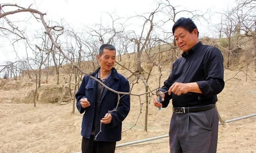 脱贫新篇章，数据背后的温馨故事与乡村新变化