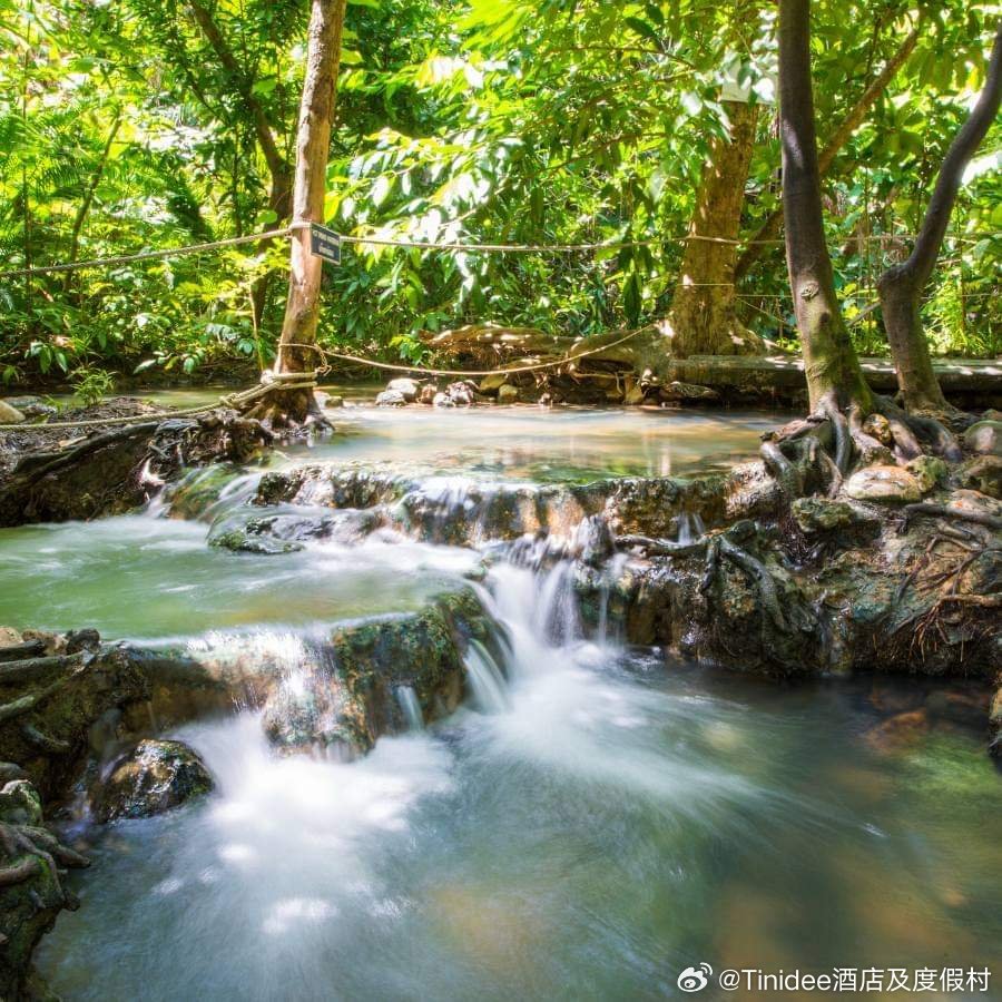 探索最新网，自然美景治愈之旅启程