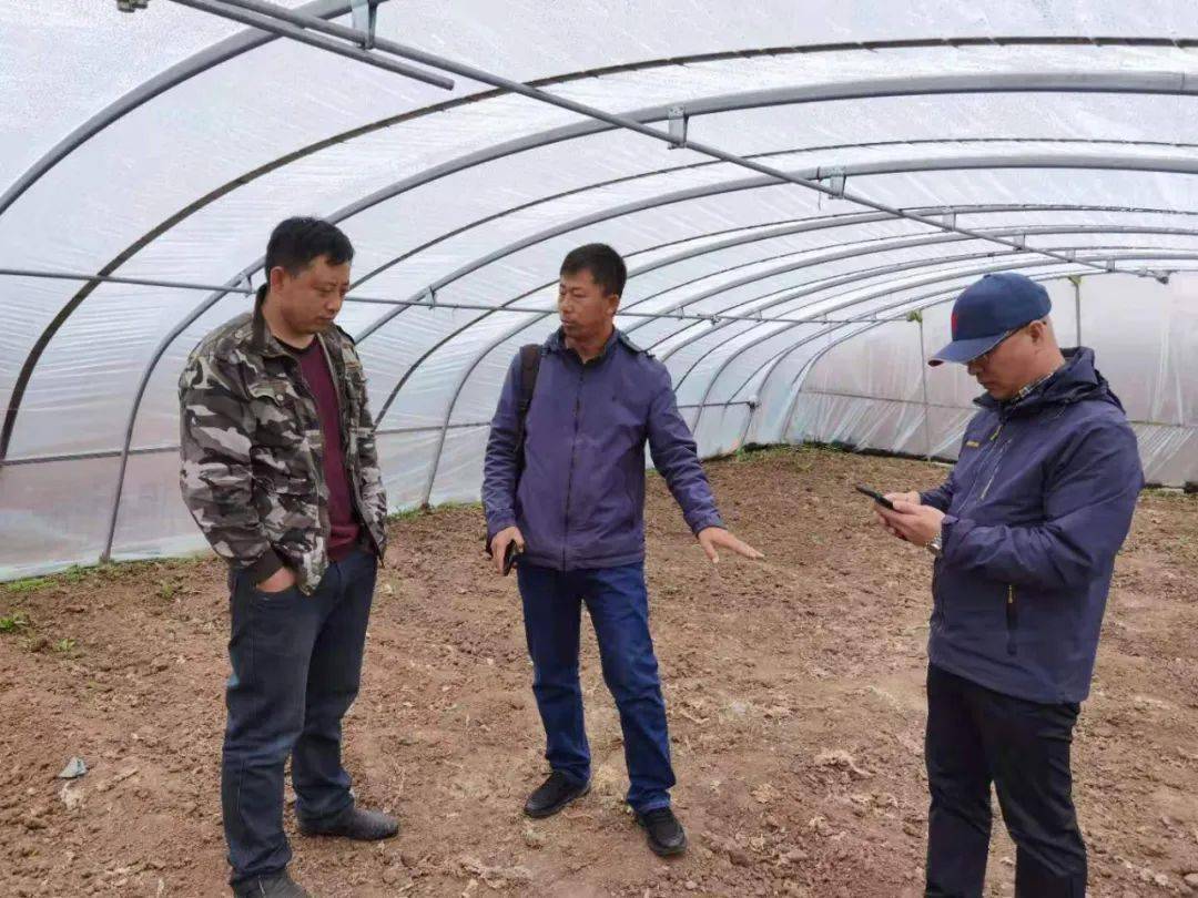 科技引领未来，最新网站线路重塑网络体验