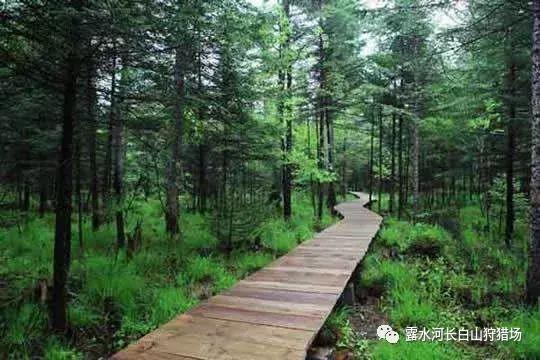 北京疫情最新数据，自然美景中的探索之旅