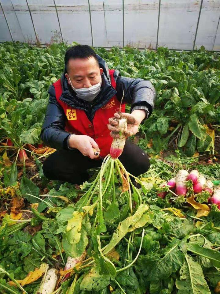 最新菜篮子，开启成长之旅，拥抱自信与成就感