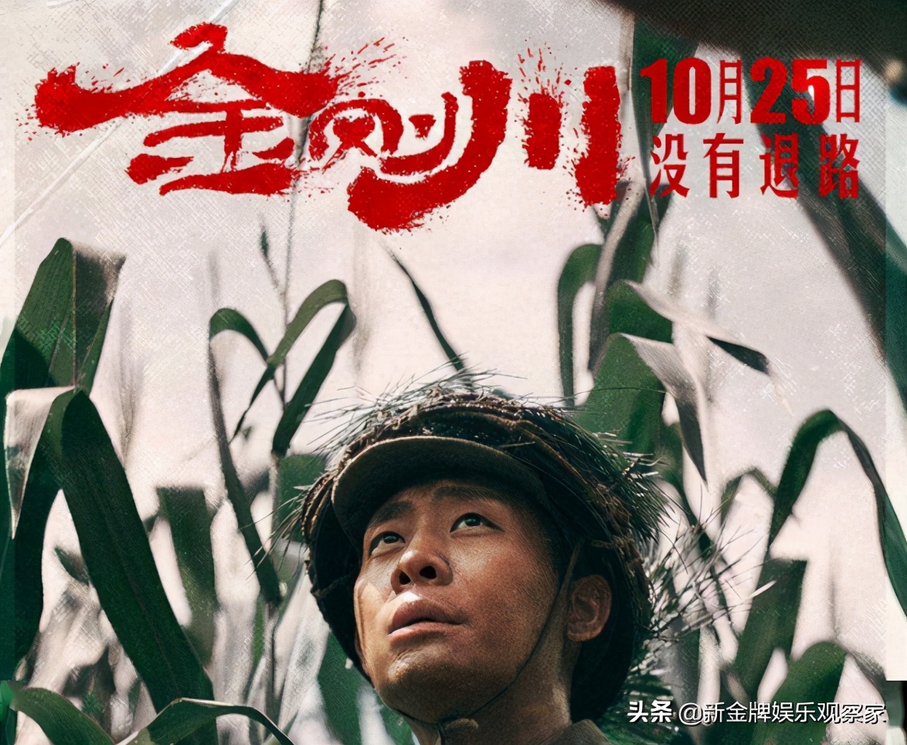 金刚川票房热议揭秘，背后的故事与热议焦点解析