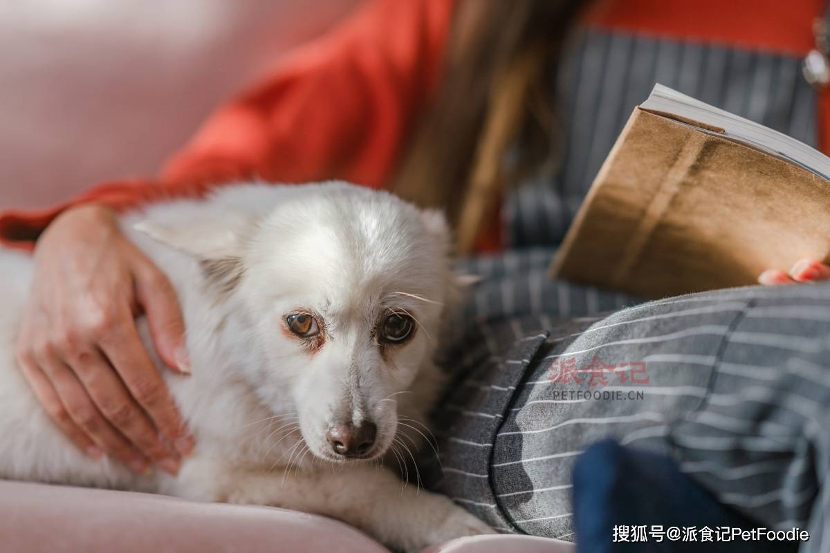 互联网服务 第209页