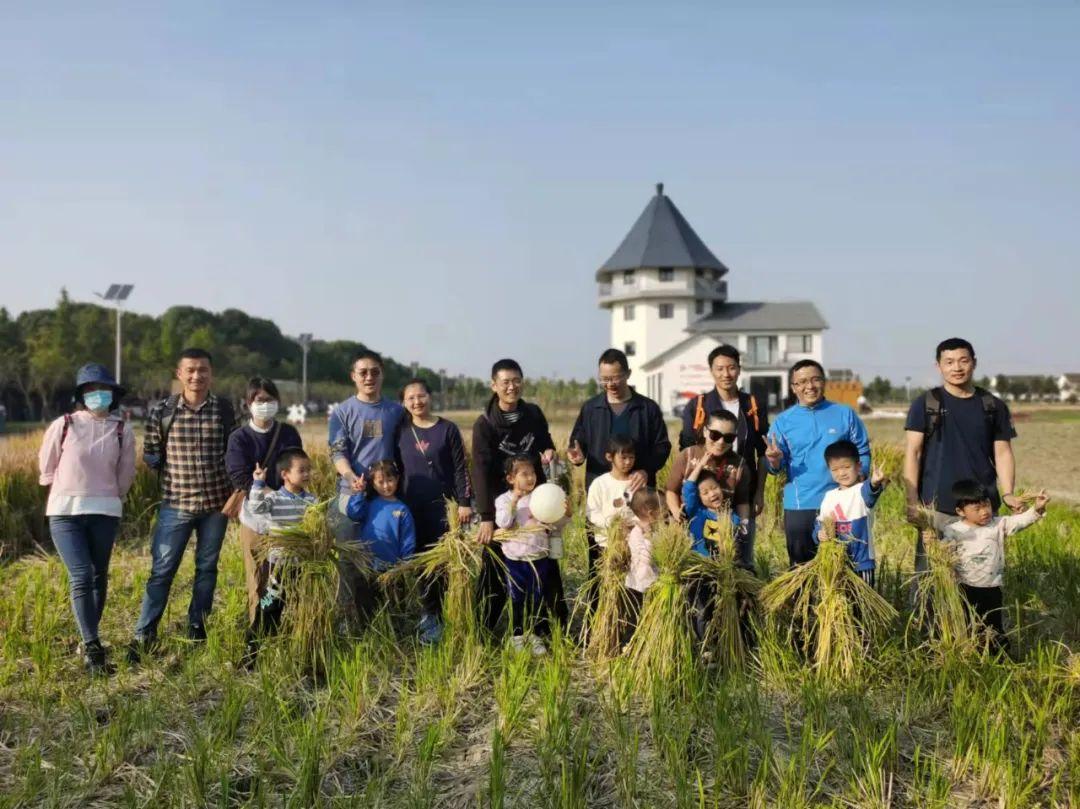 上海松江最新动态揭秘，城市发展的三大焦点深度解析