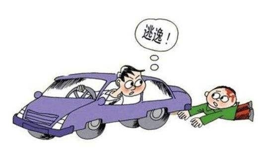 最新逃逸事故中的温馨故事