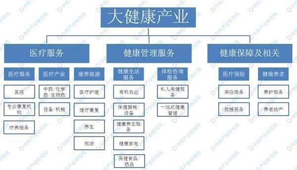 大健康产业上市公司的发展现状及其未来前景展望