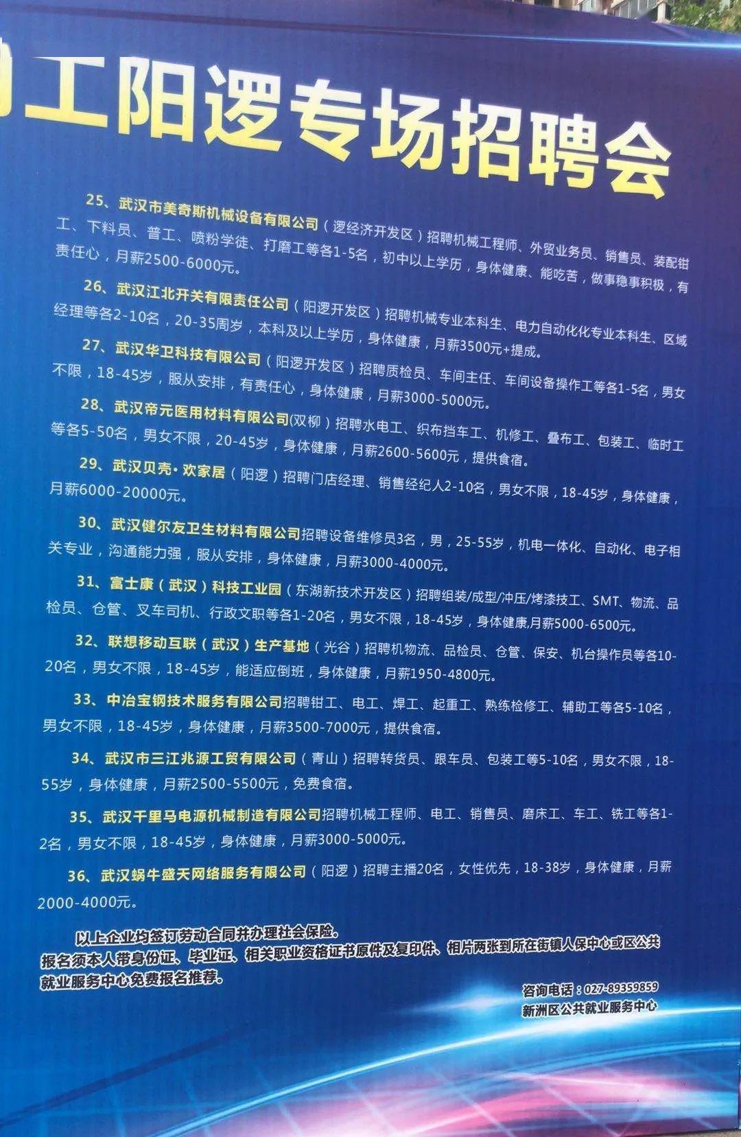 阳逻女工最新招聘信息详解，岗位、要求与观点探讨