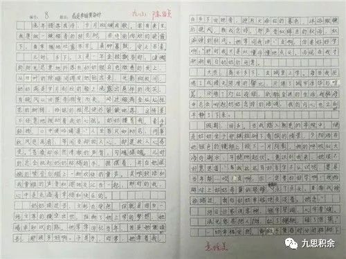 标枪比赛的激烈瞬间与感悟作文